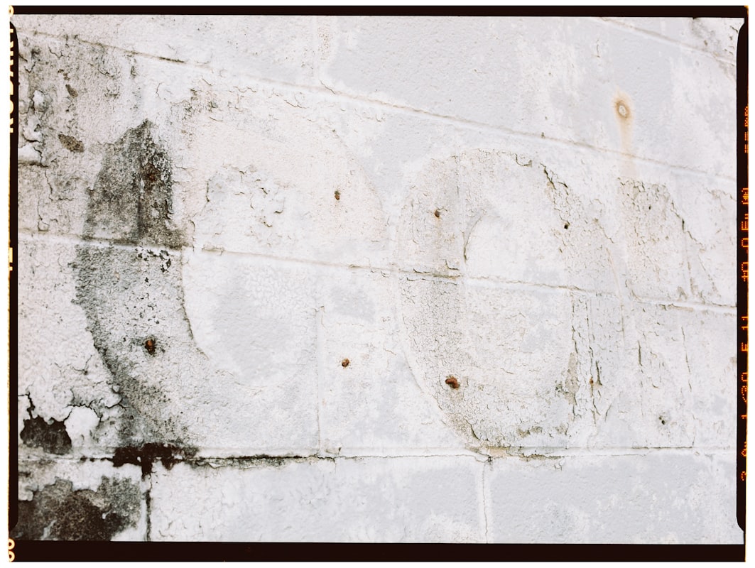 Mold Remediation service in Lorain, OH