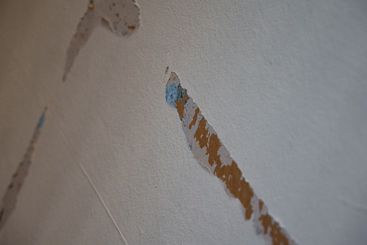 Sewage Cleanup service in Lorain, OH